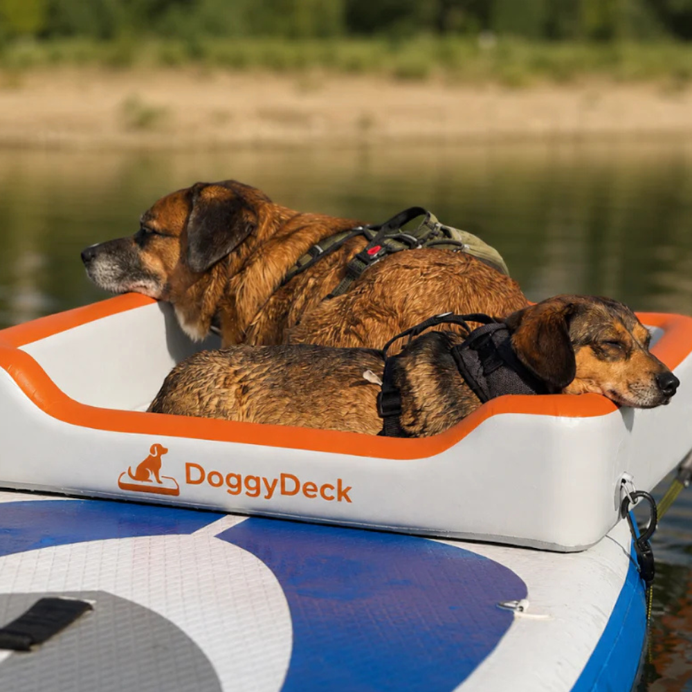 PupDeck