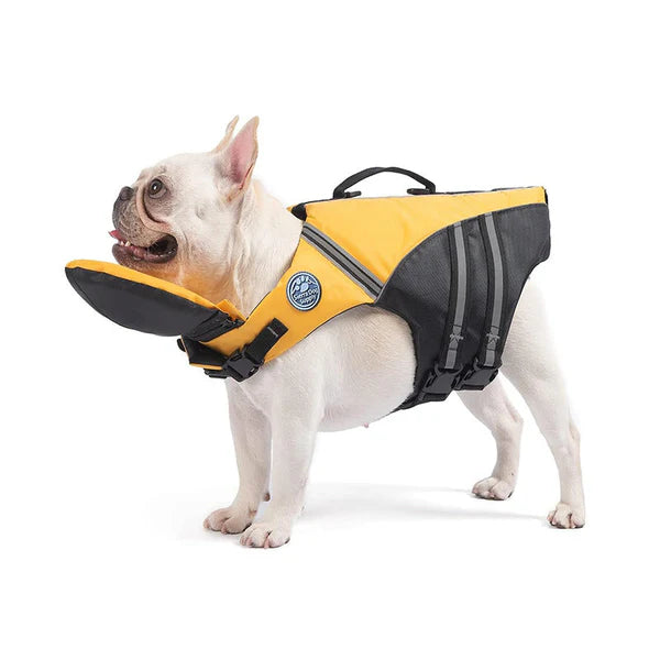 Water Dog West